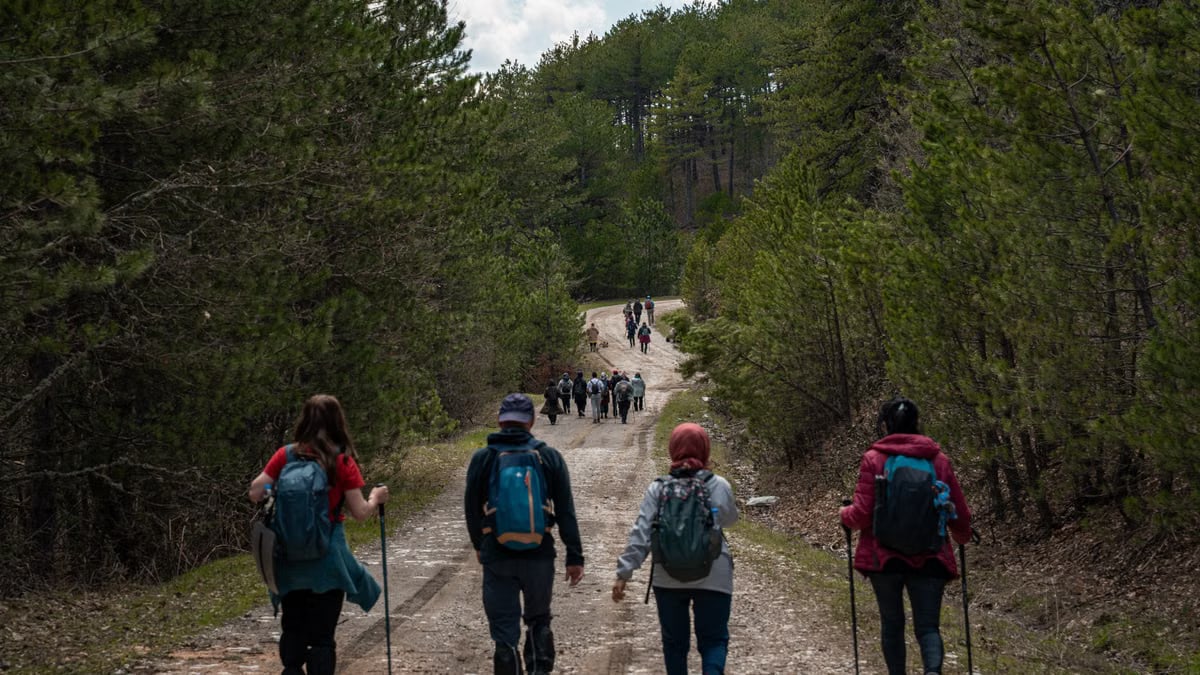 A large group of hikers exploring a forest trail. Perfect for adventure and outdoor recreation themes.